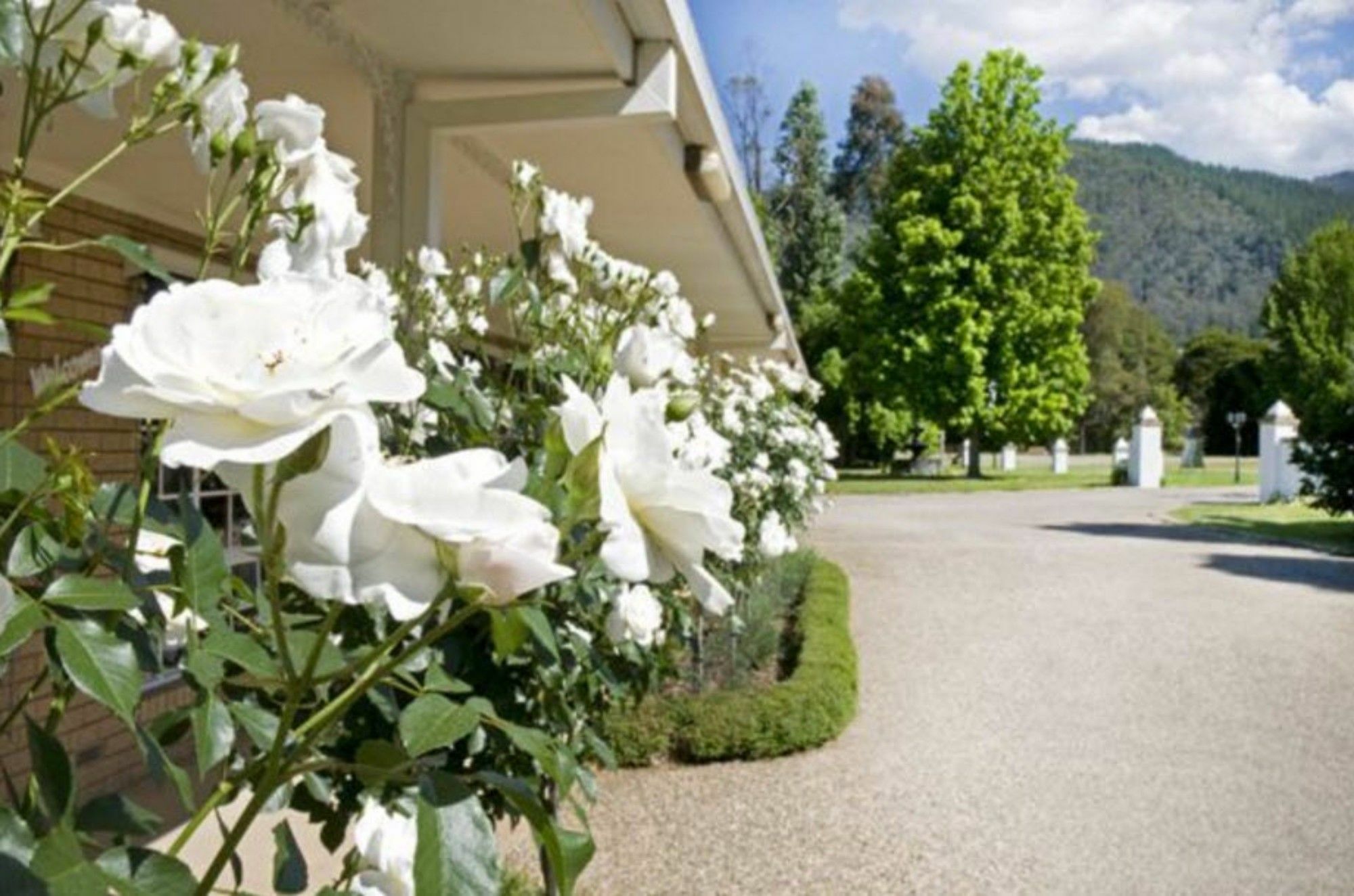 Ovens Valley Motor Inn Брайт Екстериор снимка